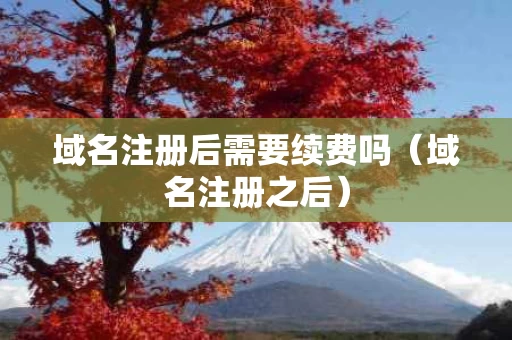 域名注册后需要续费吗（域名注册之后）