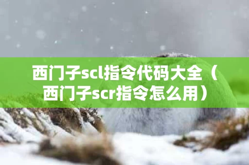 西门子scl指令代码大全（西门子scr指令怎么用）