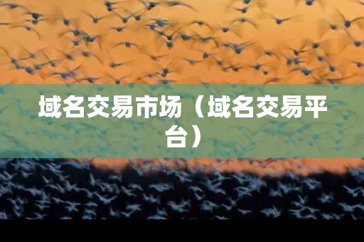 域名交易市场（域名交易平台）