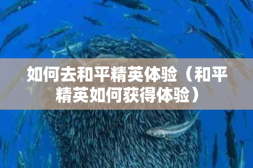 如何去和平精英体验（和平精英如何获得体验）