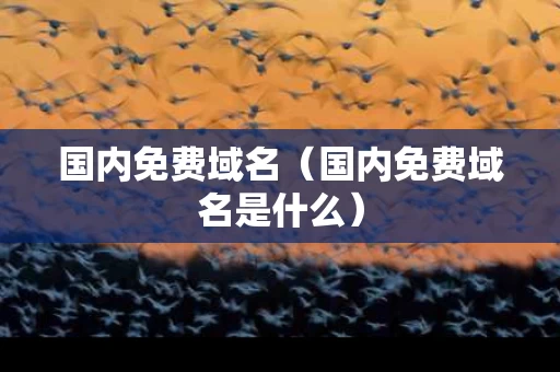 国内免费域名（国内免费域名是什么）