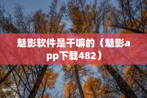魅影软件是干嘛的（魅影app下载482）