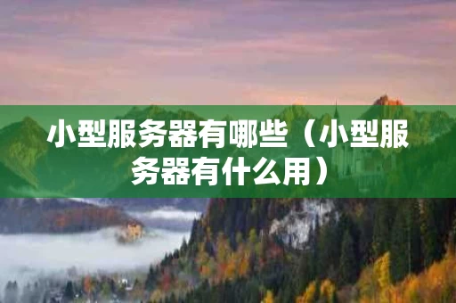 小型服务器有哪些（小型服务器有什么用）