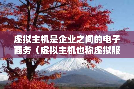虚拟主机是企业之间的电子商务（虚拟主机也称虚拟服务器）