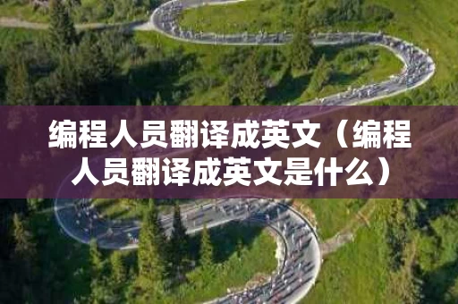 编程人员翻译成英文（编程人员翻译成英文是什么）