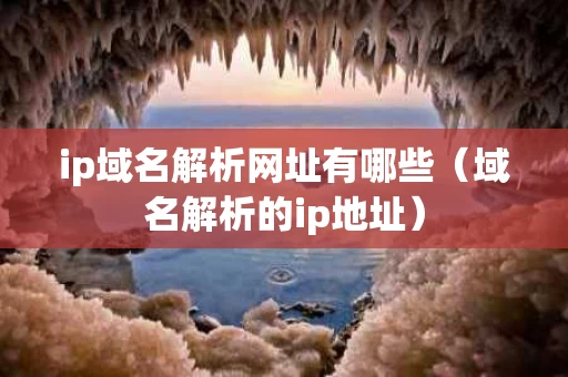 ip域名解析网址有哪些（域名解析的ip地址）