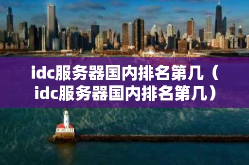 idc服务器国内排名第几（idc服务器国内排名第几）