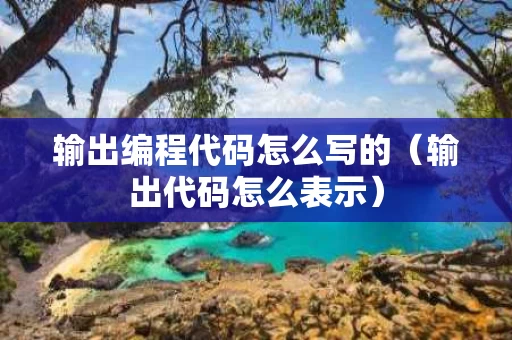 输出编程代码怎么写的（输出代码怎么表示）