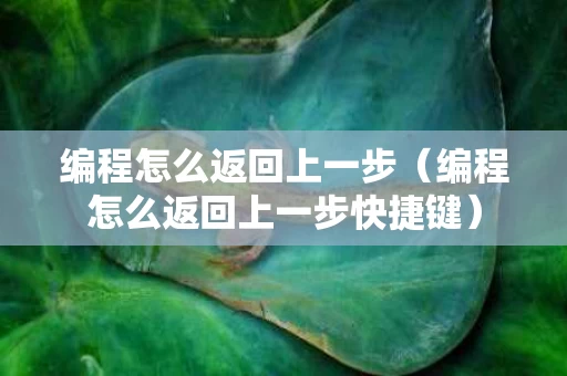 编程怎么返回上一步（编程怎么返回上一步快捷键）