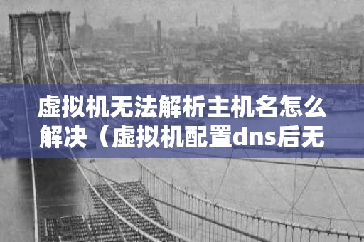 虚拟机无法解析主机名怎么解决（虚拟机配置dns后无法解析域名）
