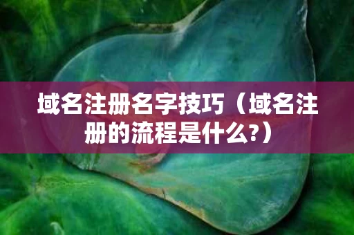 域名注册名字技巧（域名注册的流程是什么?）