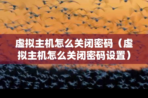 虚拟主机怎么关闭密码（虚拟主机怎么关闭密码设置）