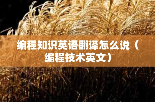 编程知识英语翻译怎么说（编程技术英文）