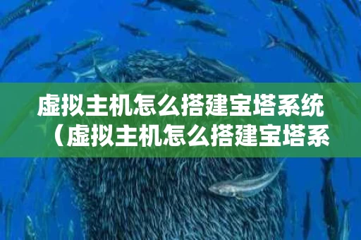 虚拟主机怎么搭建宝塔系统（虚拟主机怎么搭建宝塔系统教程）