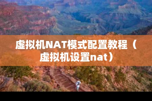 虚拟机NAT模式配置教程（虚拟机设置nat）