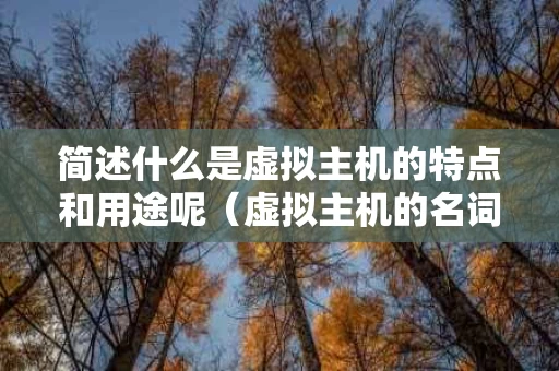 简述什么是虚拟主机的特点和用途呢（虚拟主机的名词解释）