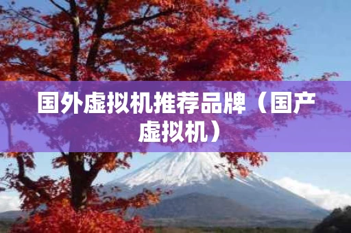 国外虚拟机推荐品牌（国产 虚拟机）