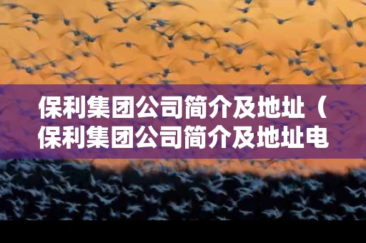 保利集团公司简介及地址（保利集团公司简介及地址电话）
