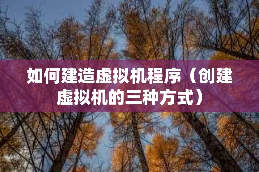 如何建造虚拟机程序（创建虚拟机的三种方式）