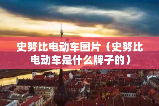 史努比电动车图片（史努比电动车是什么牌子的）
