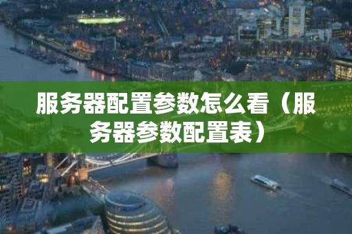 服务器配置参数怎么看（服务器参数配置表）