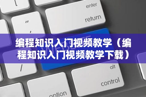 编程知识入门视频教学（编程知识入门视频教学下载）