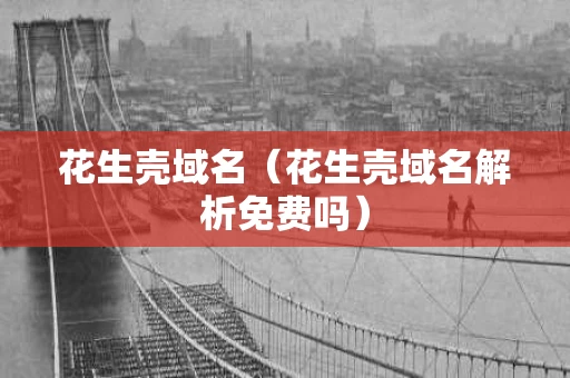花生壳域名（花生壳域名解析免费吗）