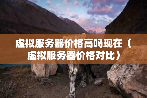 虚拟服务器价格高吗现在（虚拟服务器价格对比）