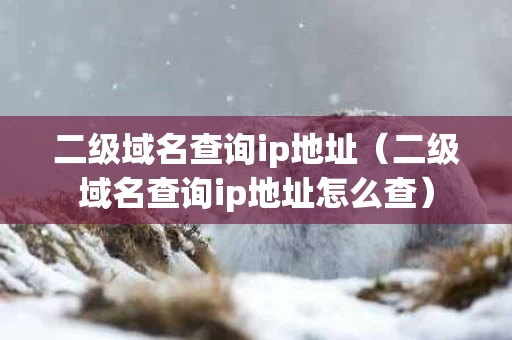 二级域名查询ip地址（二级域名查询ip地址怎么查）
