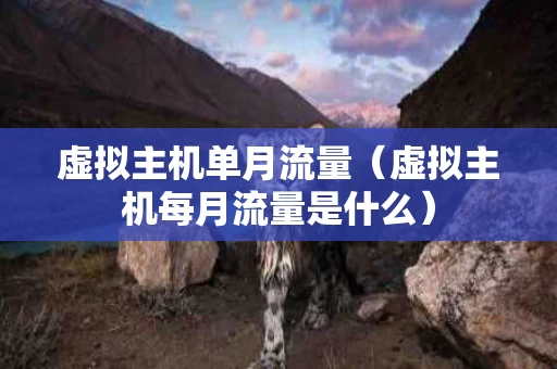 虚拟主机单月流量（虚拟主机每月流量是什么）