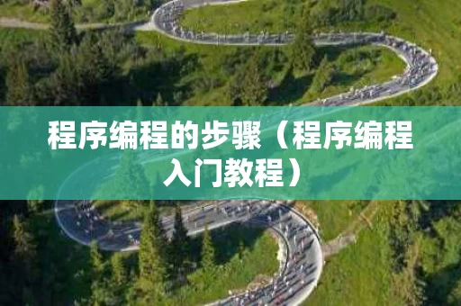 程序编程的步骤（程序编程入门教程）