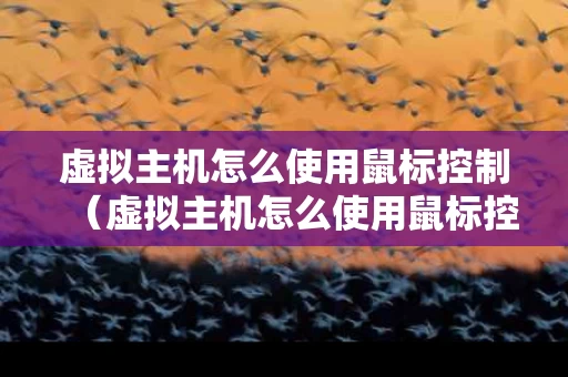 虚拟主机怎么使用鼠标控制（虚拟主机怎么使用鼠标控制窗口）