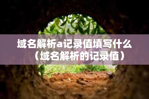 域名解析a记录值填写什么（域名解析的记录值）
