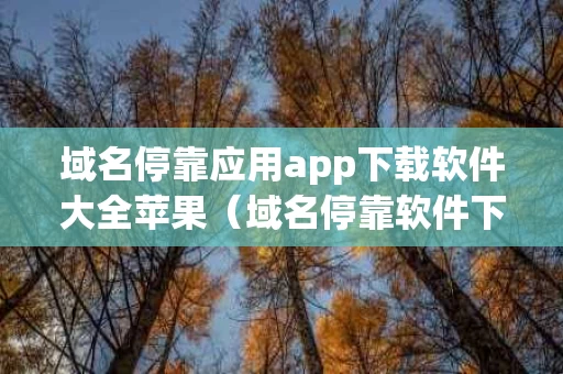 域名停靠应用app下载软件大全苹果（域名停靠软件下载网站免费版）
