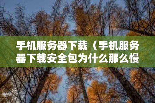 手机服务器下载（手机服务器下载安全包为什么那么慢）