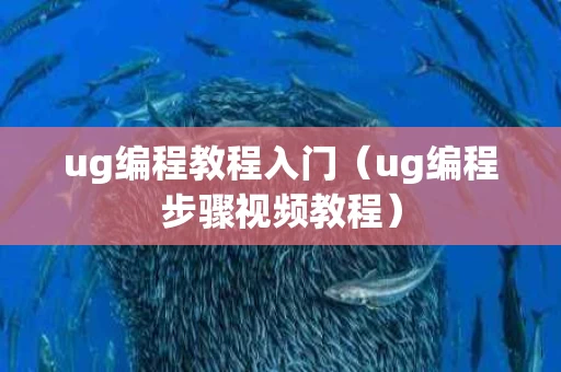 ug编程教程入门（ug编程步骤视频教程）