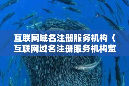 互联网域名注册服务机构（互联网域名注册服务机构监管制度是什么）