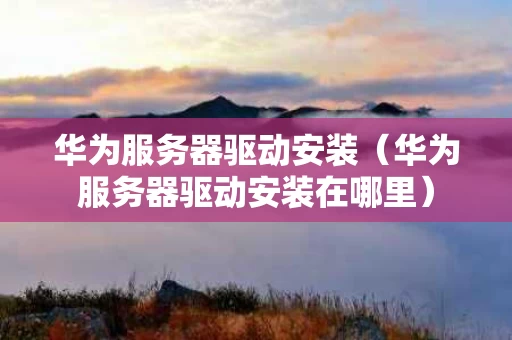 华为服务器驱动安装（华为服务器驱动安装在哪里）
