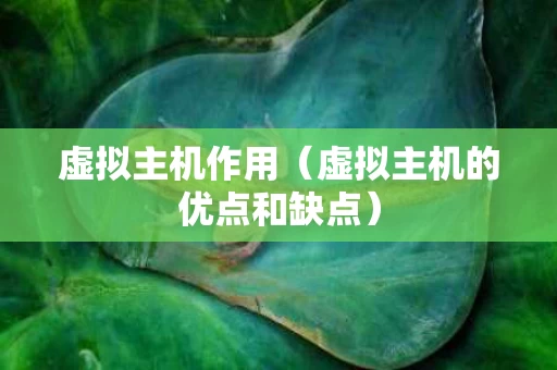 虚拟主机作用（虚拟主机的优点和缺点）