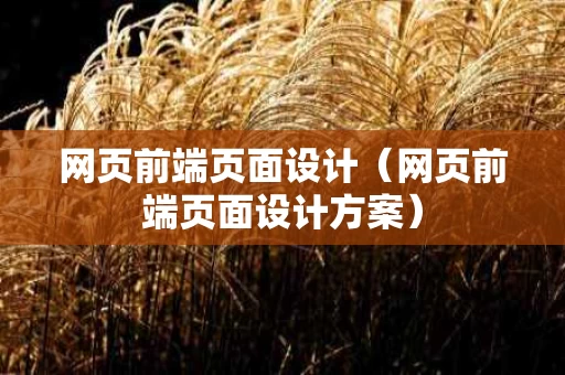 网页前端页面设计（网页前端页面设计方案）