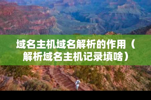域名主机域名解析的作用（解析域名主机记录填啥）