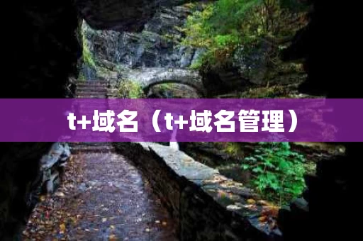 t+域名（t+域名管理）