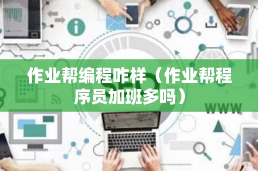 作业帮编程咋样（作业帮程序员加班多吗）
