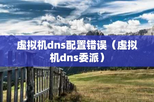 虚拟机dns配置错误（虚拟机dns委派）