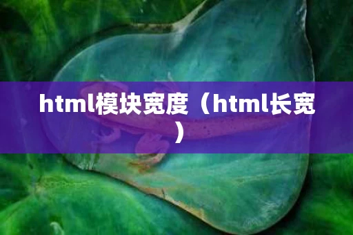 html模块宽度（html长宽）