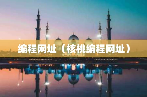 编程网址（核桃编程网址）