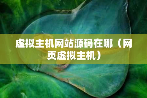 虚拟主机网站源码在哪（网页虚拟主机）