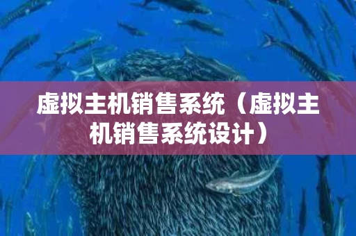 虚拟主机销售系统（虚拟主机销售系统设计）