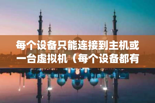 每个设备只能连接到主机或一台虚拟机（每个设备都有一个ip吗）
