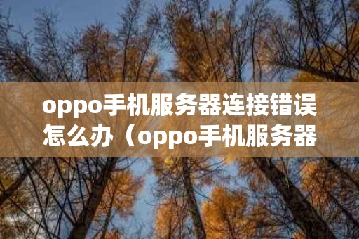 oppo手机服务器连接错误怎么办（oppo手机服务器异常）